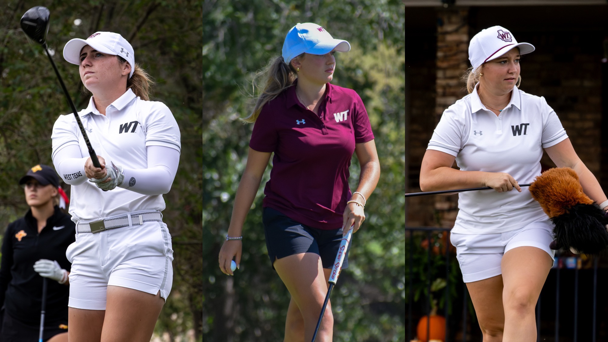 Reed-Hammerschmid-Holm