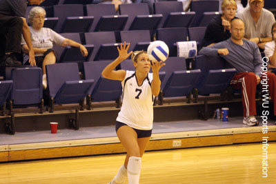 06VBCowhickMSU04