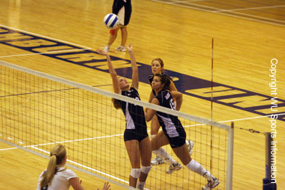 06VBRaynesMSU05