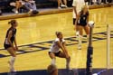 06VBCowhickMSU05