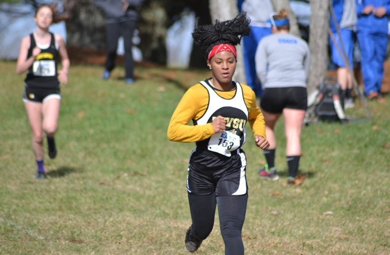 styles cross country web