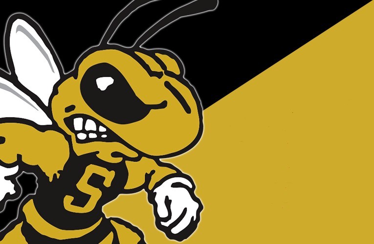 Generic yellow jacket page