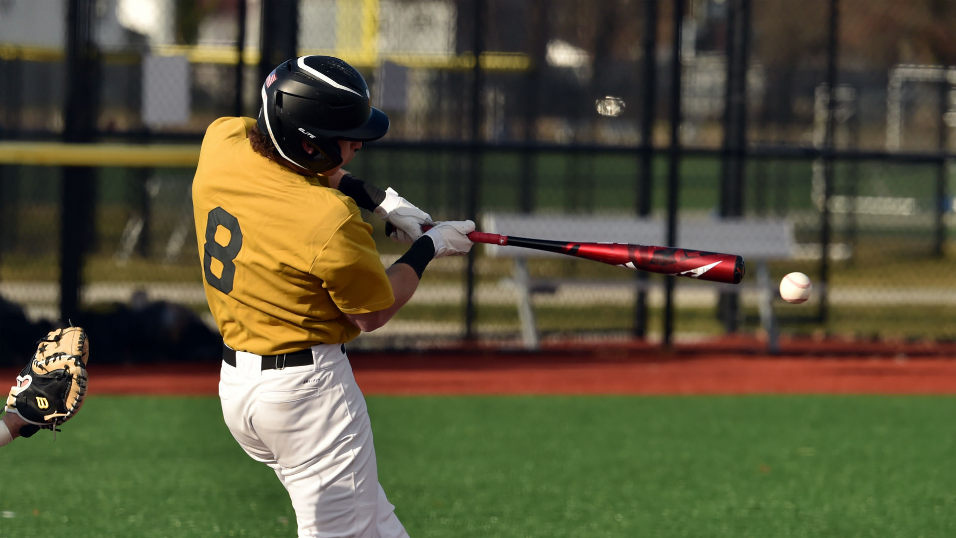 Matthew Kline Baseball West Virginia State University Athletics