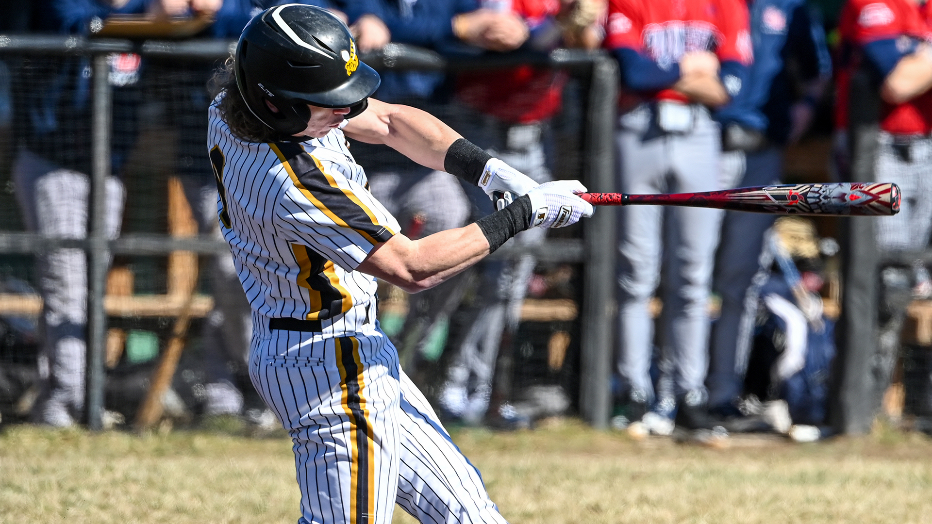 Matthew Kline Baseball West Virginia State University Athletics