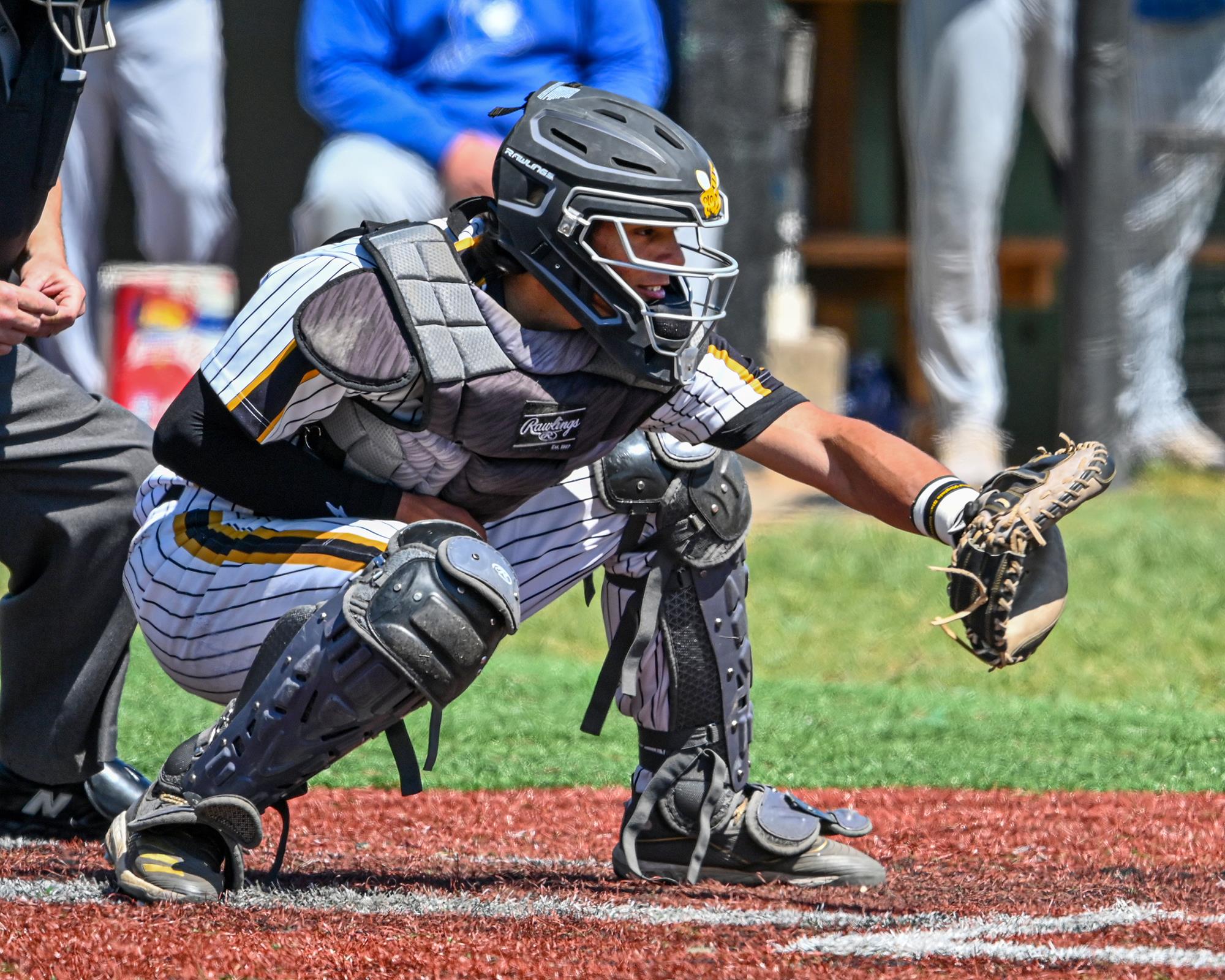 Dante Zamudio Baseball West Virginia State University Athletics