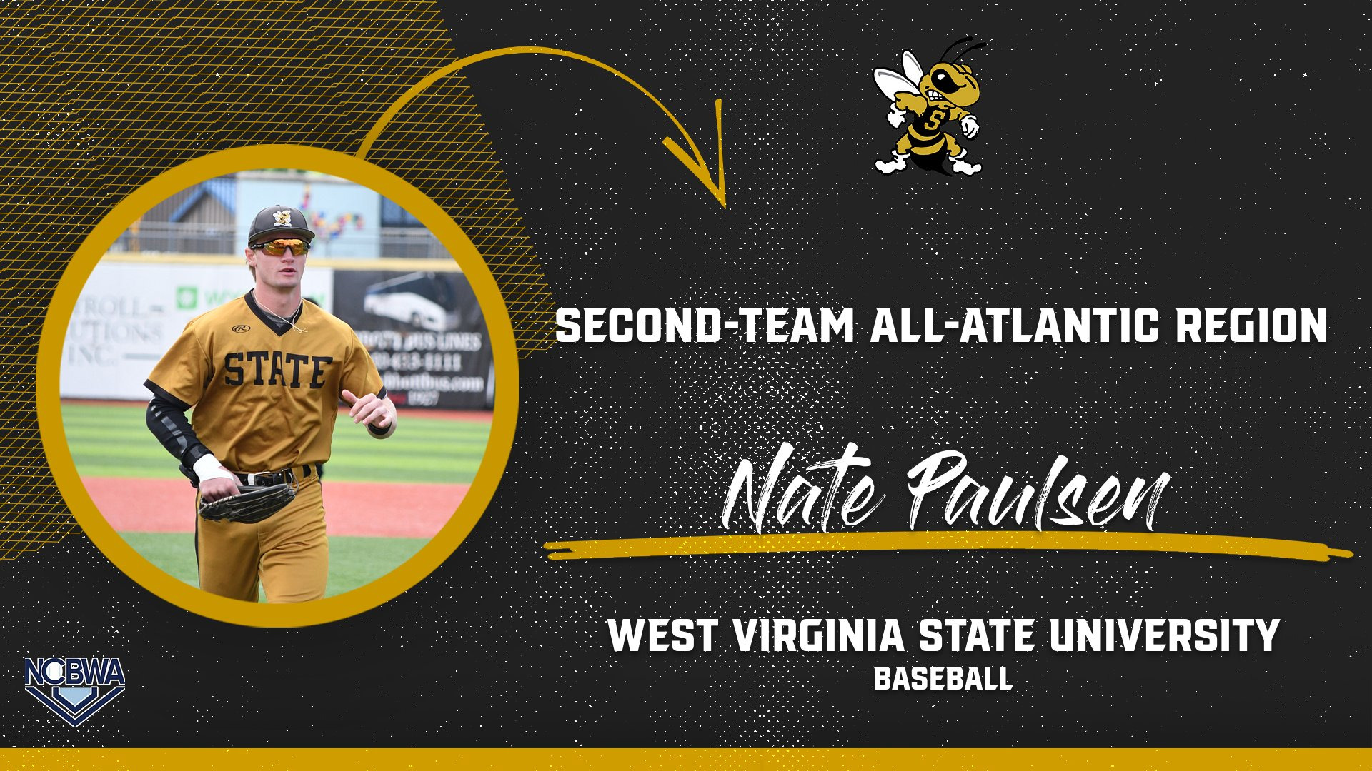 BS25 Paulsen All Region