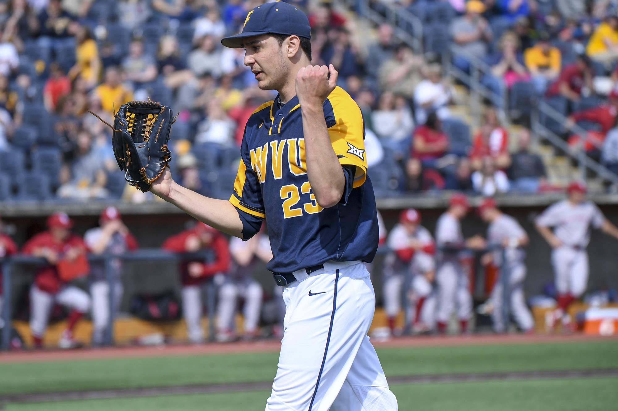 Jackson Wolf Baseball West Virginia University Athletics