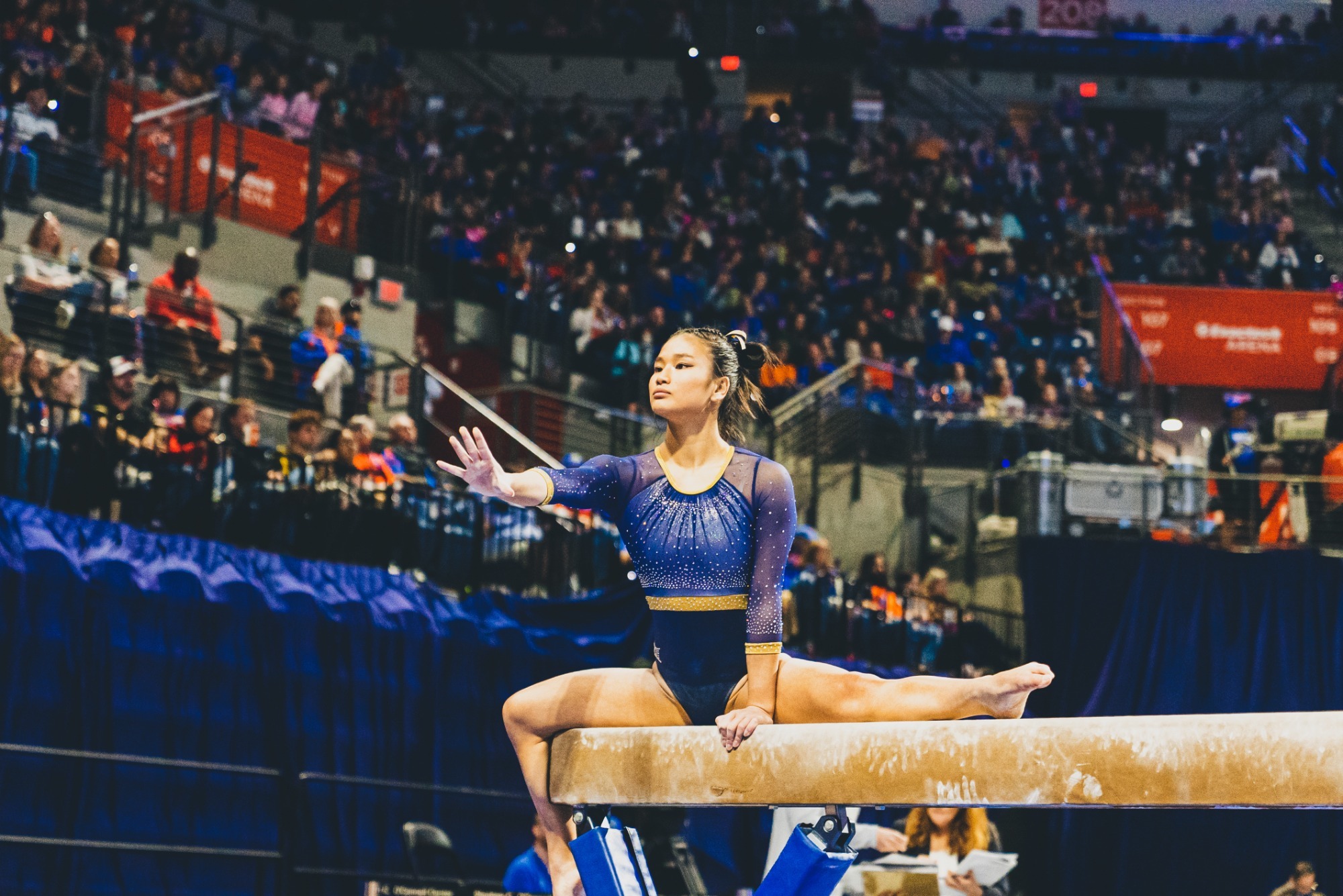 Chloe Asper - Gymnastics - West Virginia University Athletics