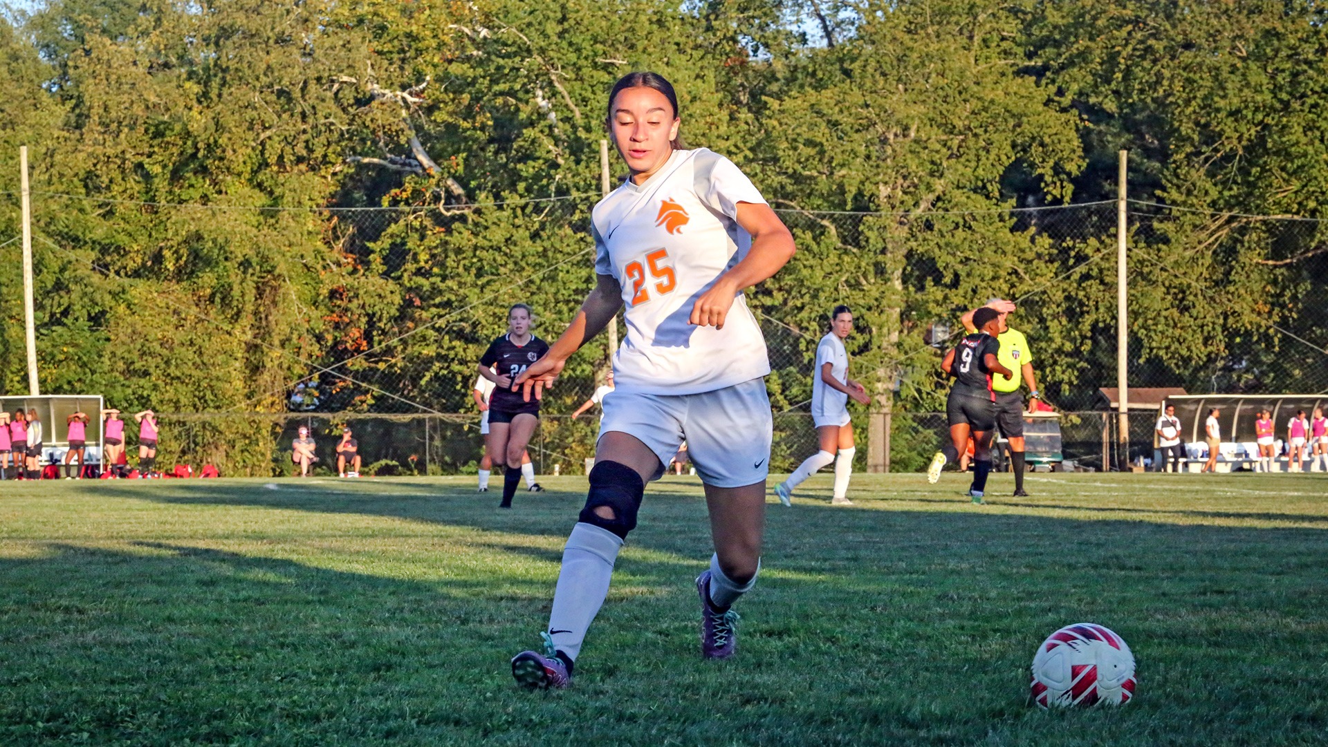 wsoc100825-fairmont