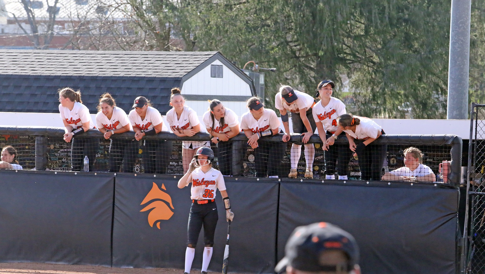 soft042626-Glenville