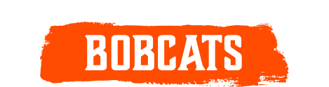 West Virginia Weslyean College Bobcats 