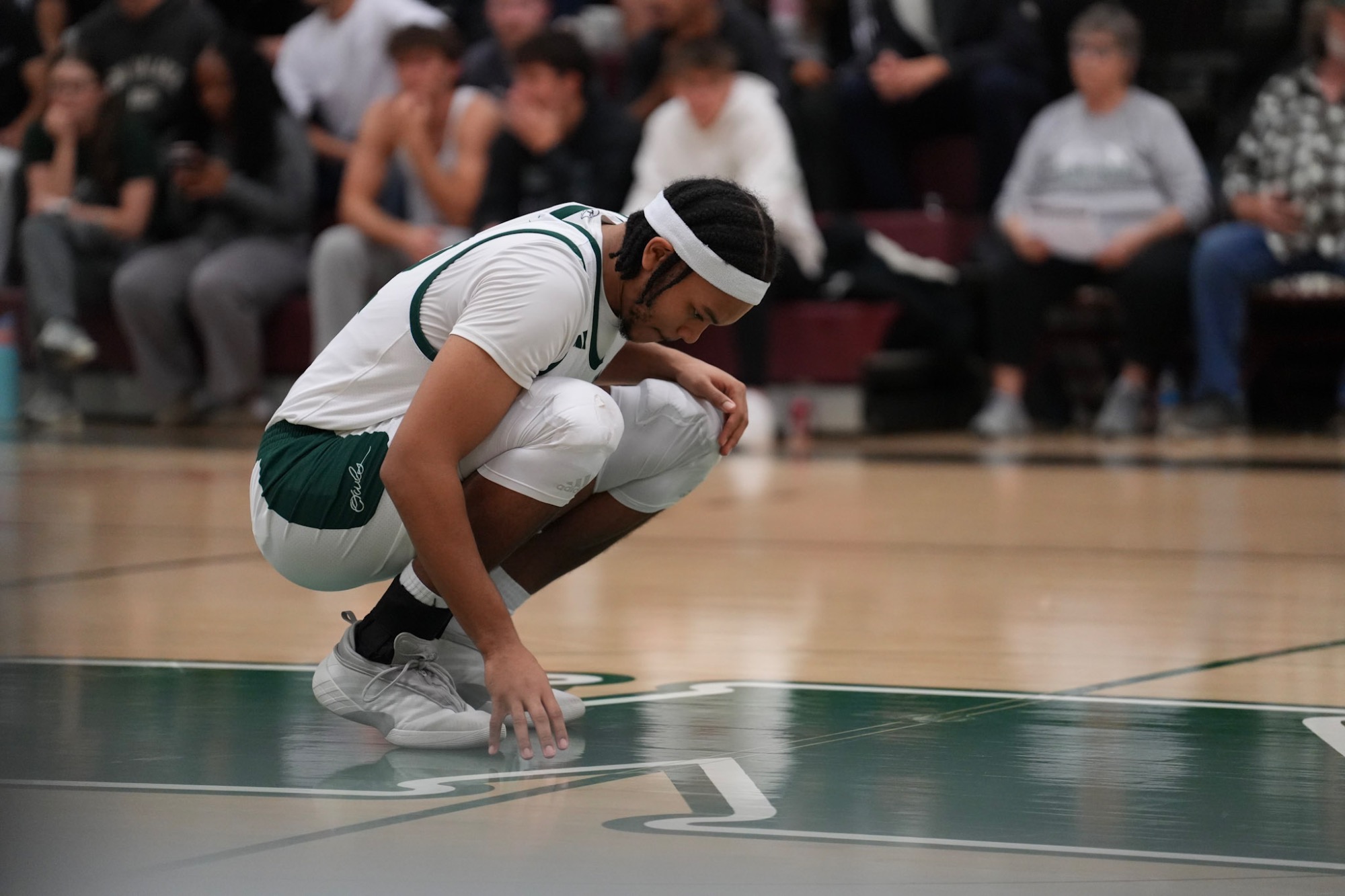 Owls fall to the spartans