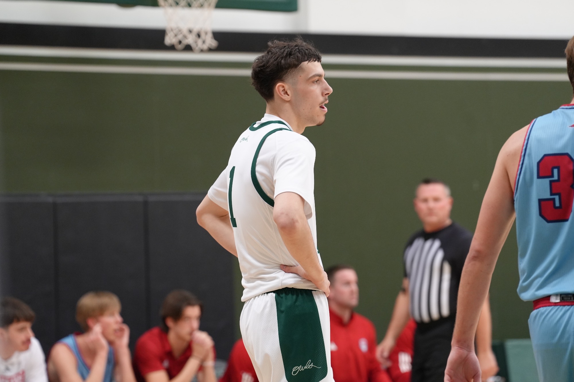 Owls fall to the pride