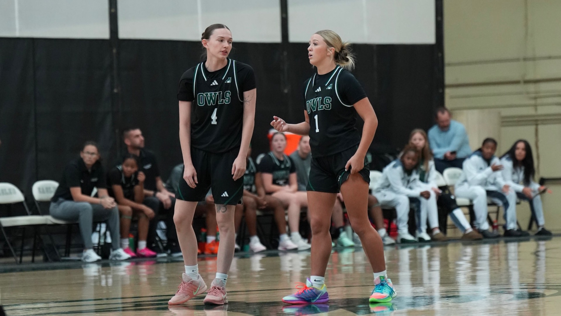 Owls Lose to Cumberlands