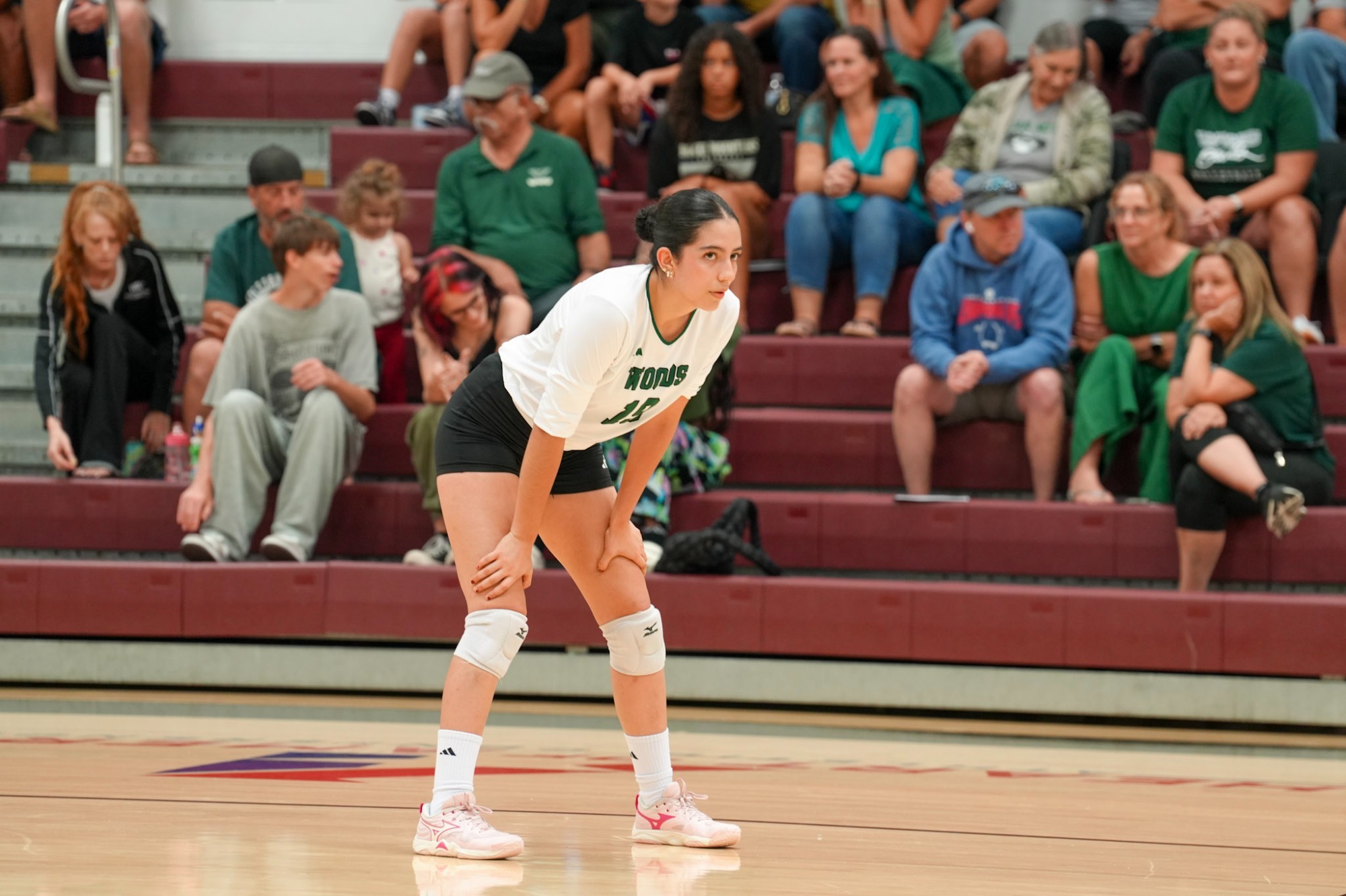 VB vs Clarke