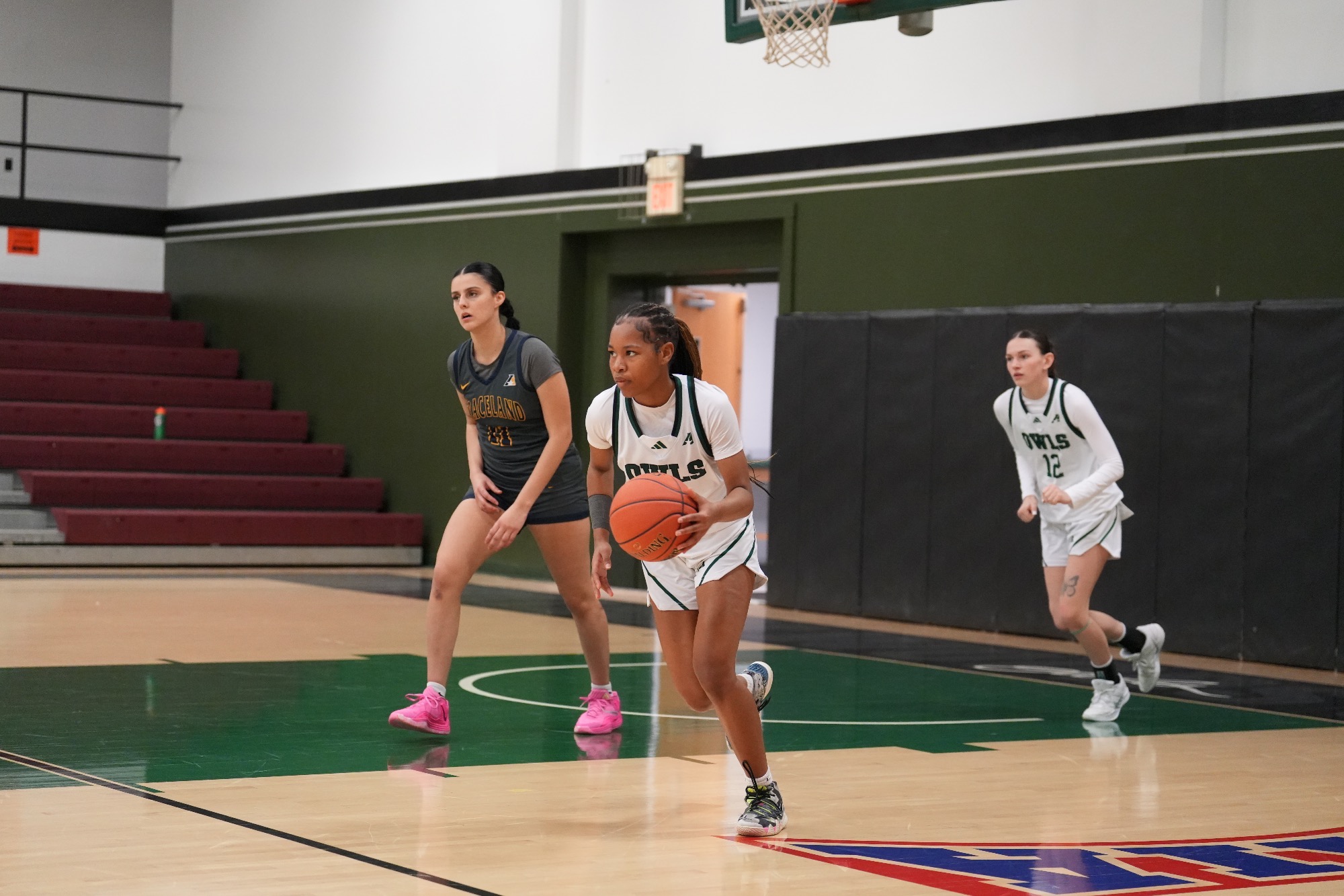 Owls fall to the Yellow Jackets