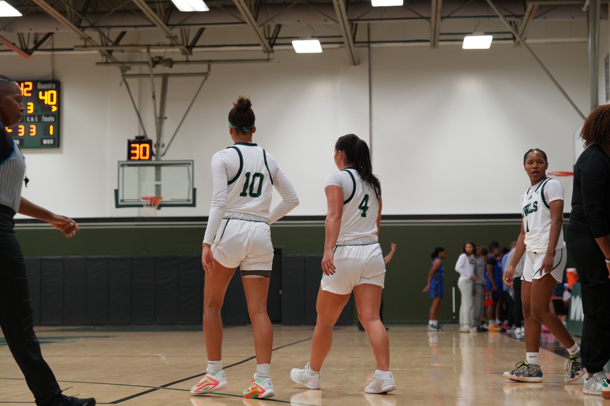 Owls fall on senior day