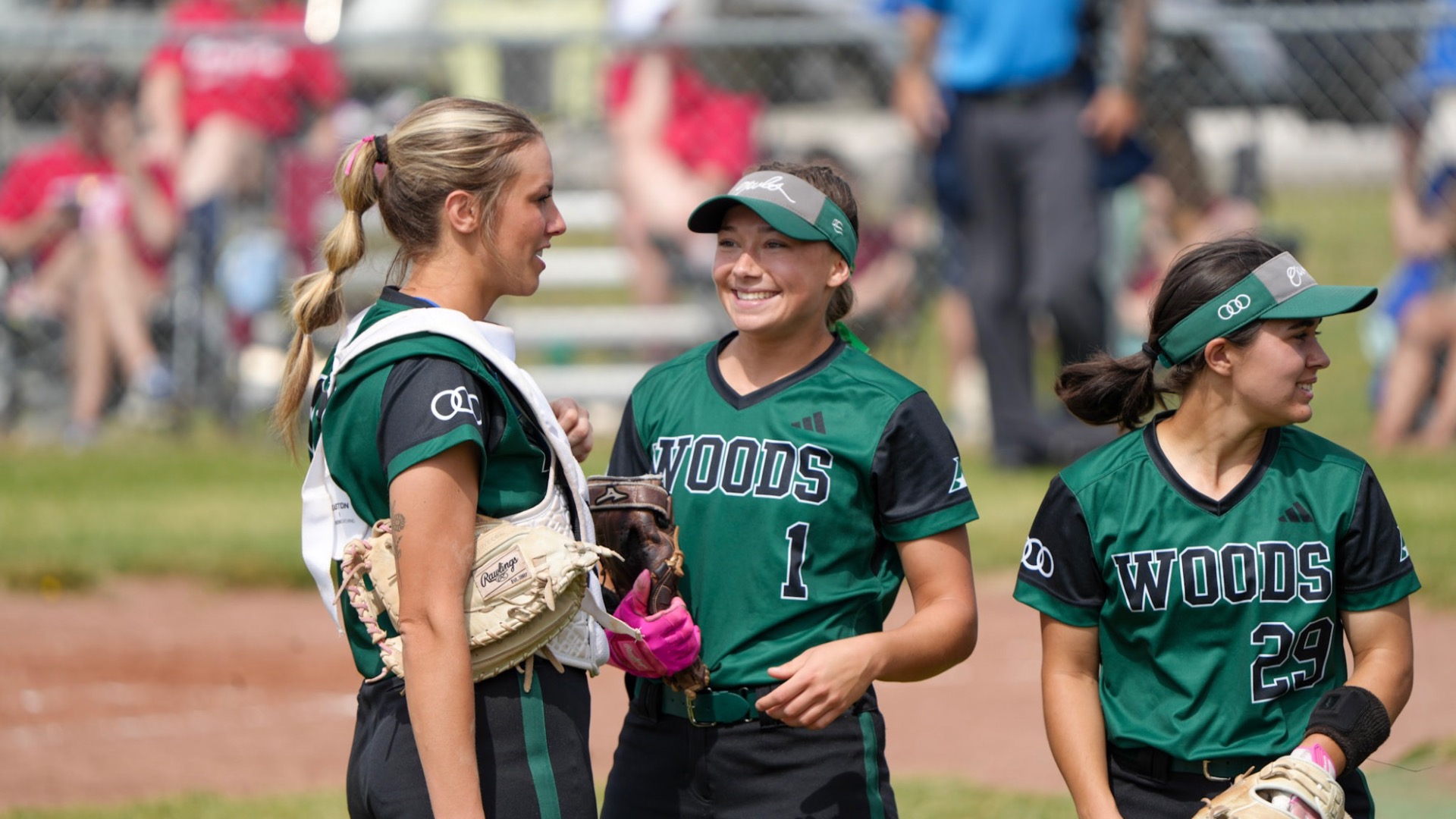 Errors Prove Costly for Owls