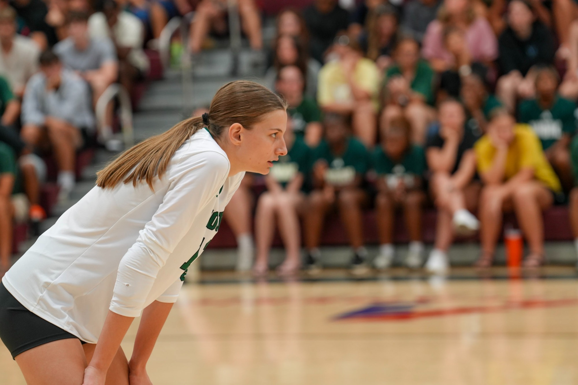 WWU Vb vs MVU