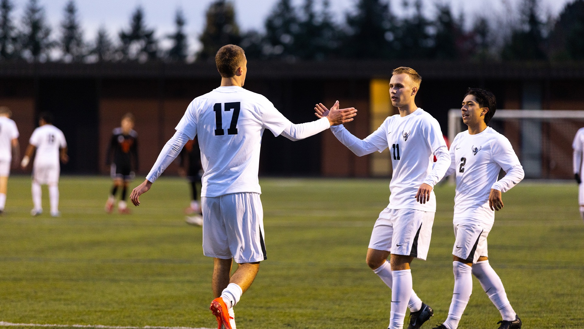 Men's Soccer Recap vs. Jamestown - Team Celebration After Goal