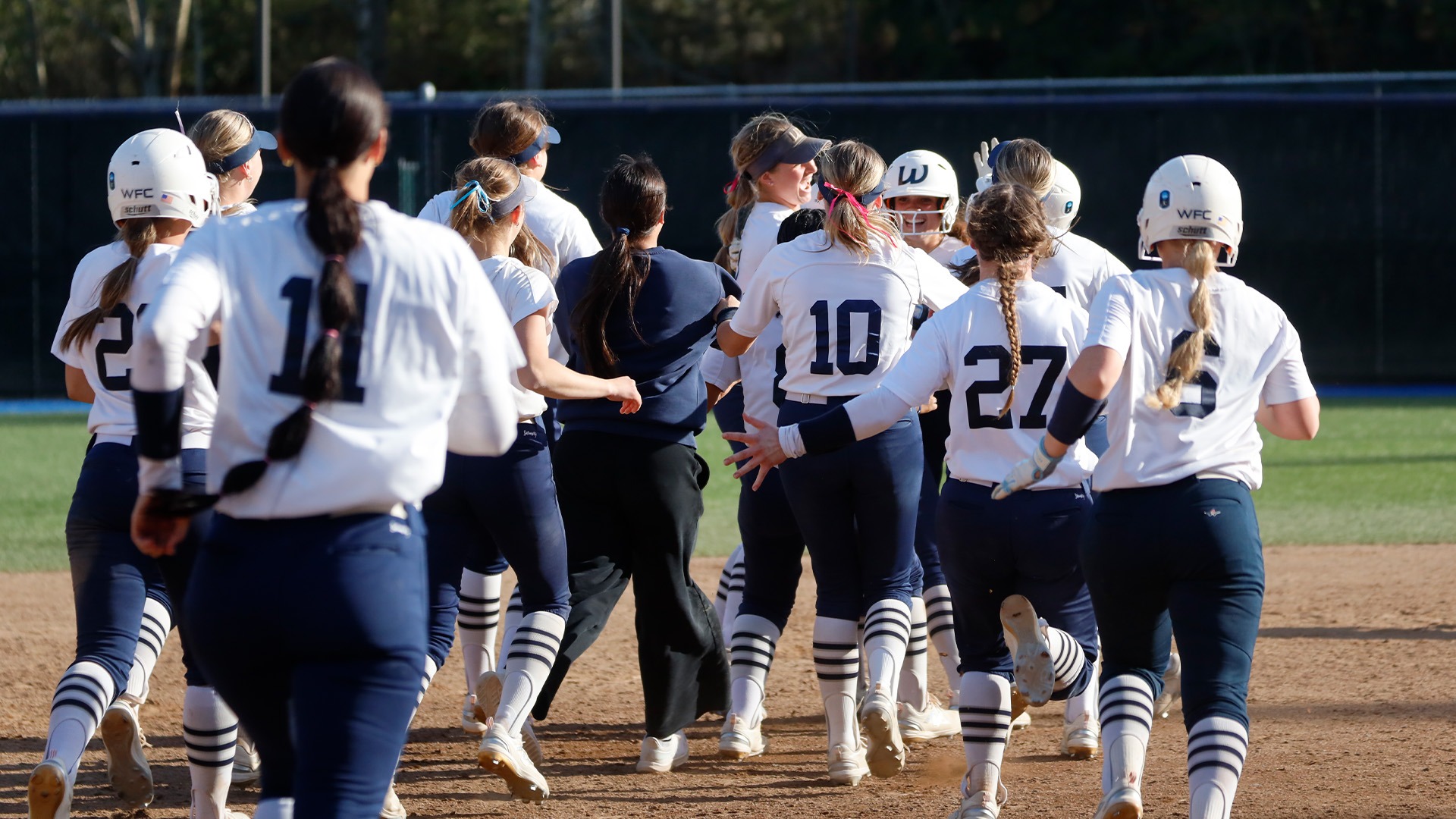 Walk-Off Game Winning Hit by Nazli Chavez