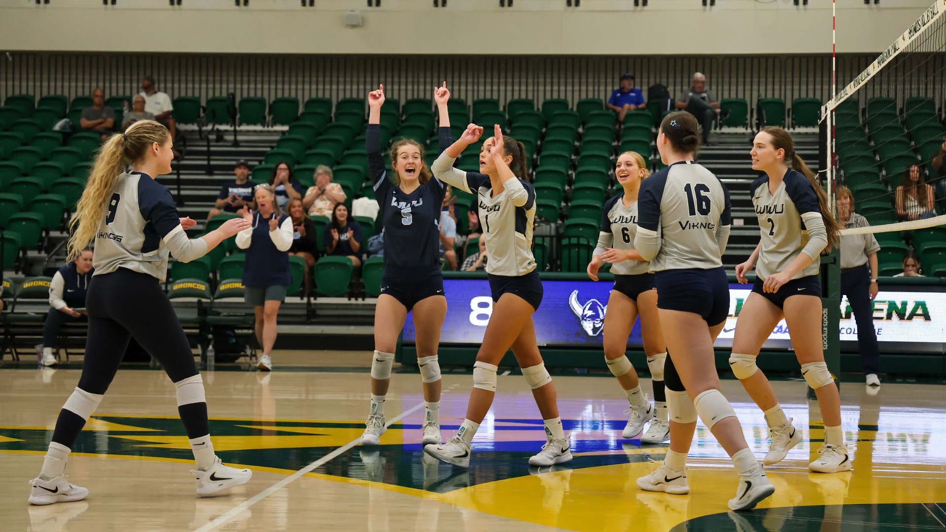 Volleyball Team Celebrating on the Court