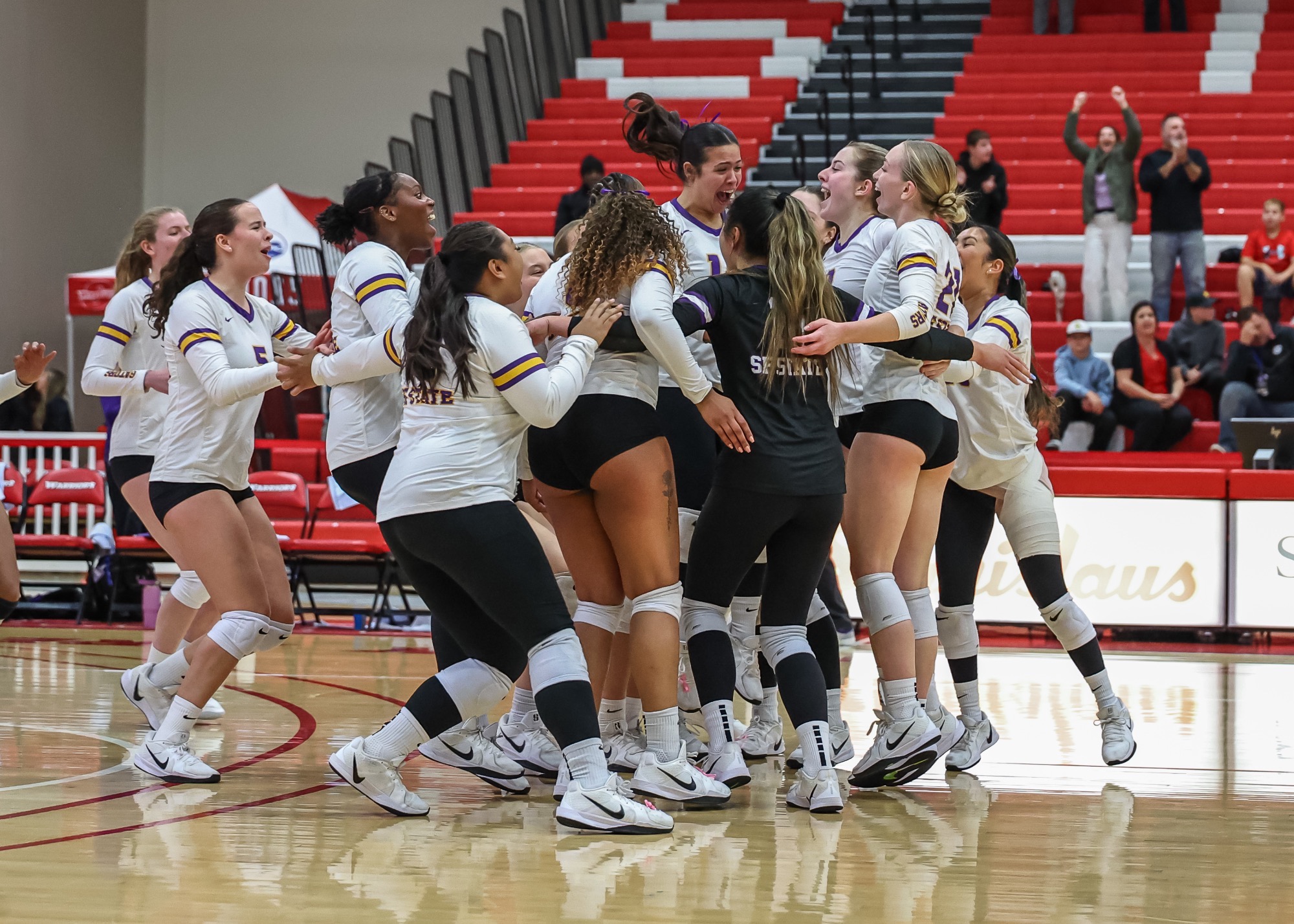 Volleyball Team Celebration
