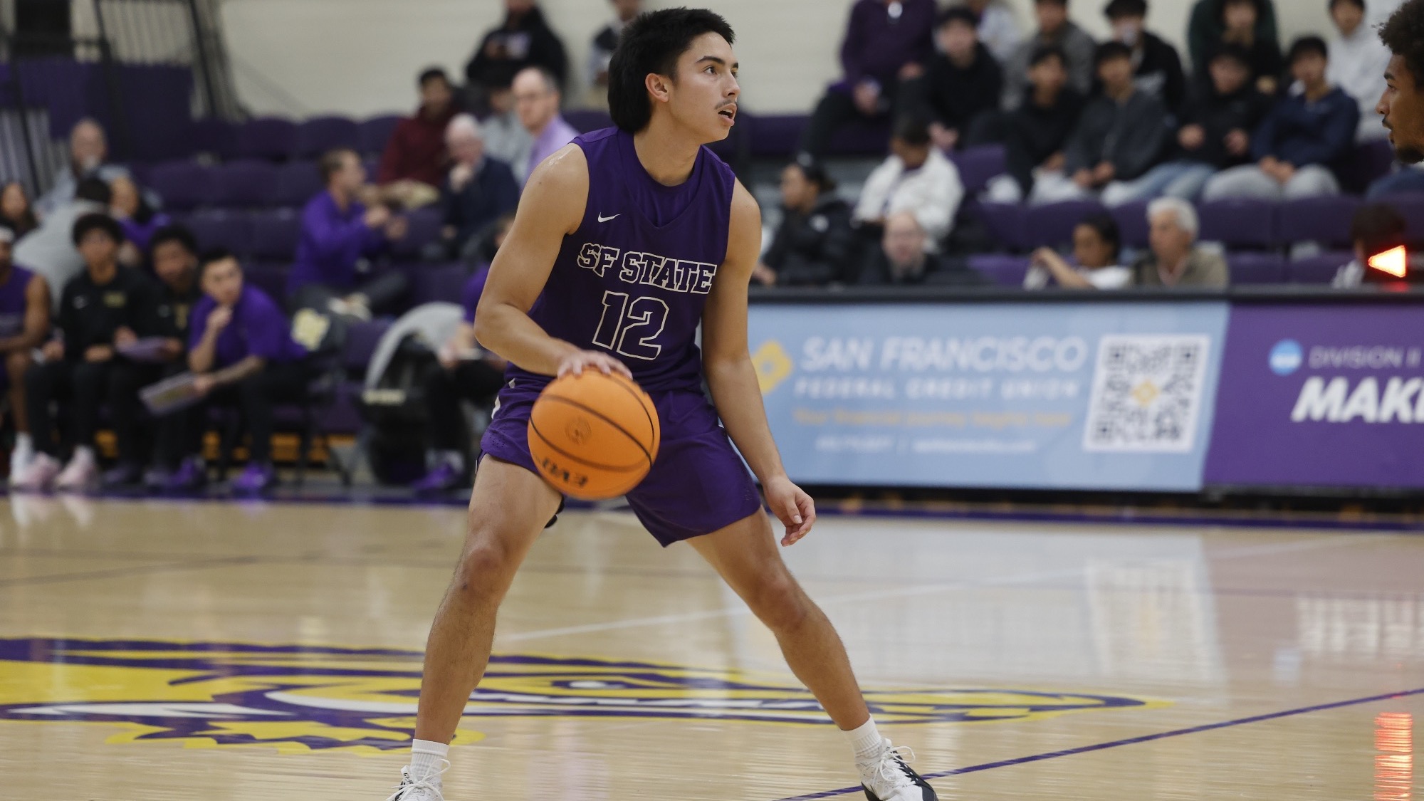 Maximilian Parmigiani