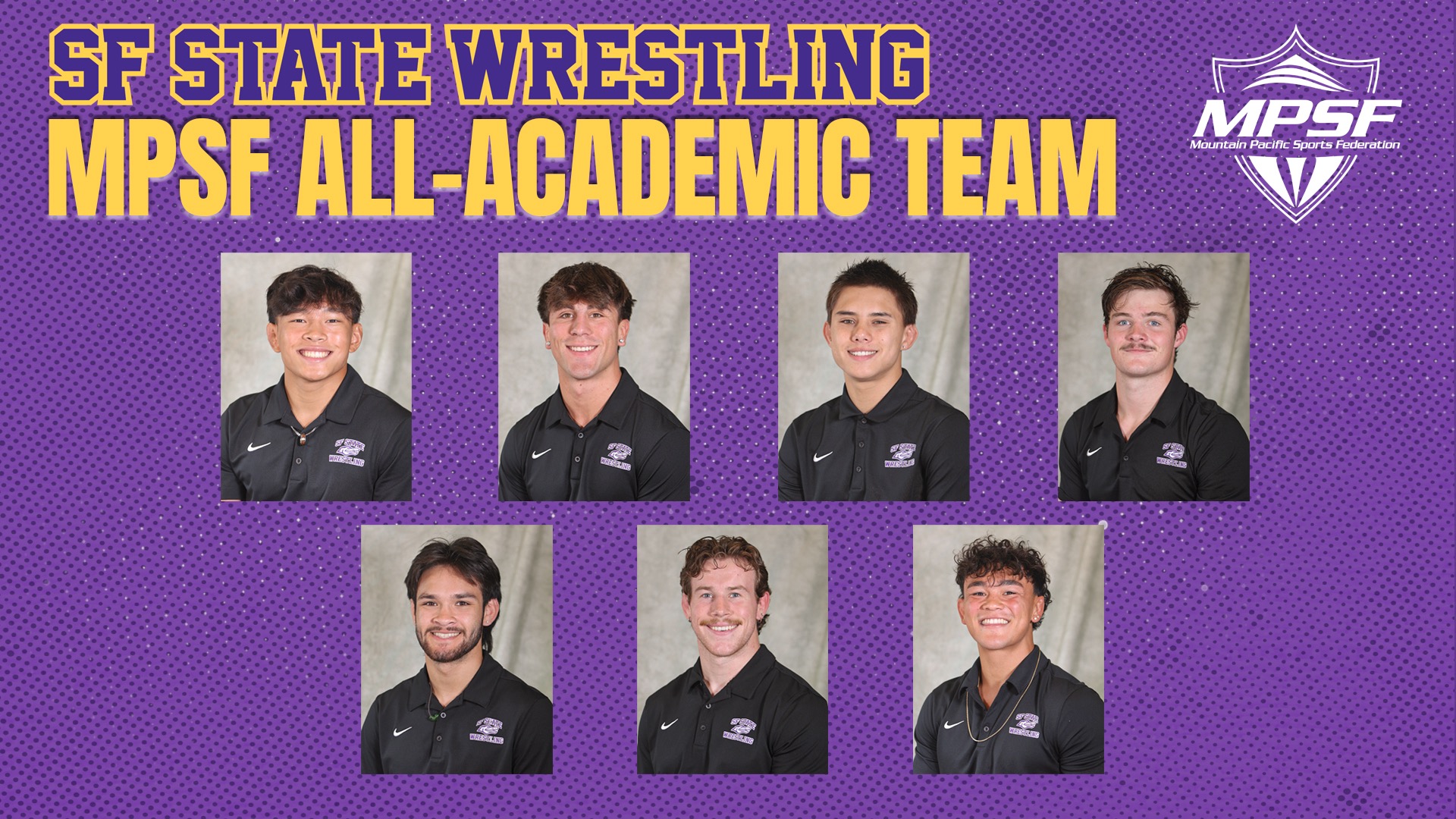 MPSF Website Graphic