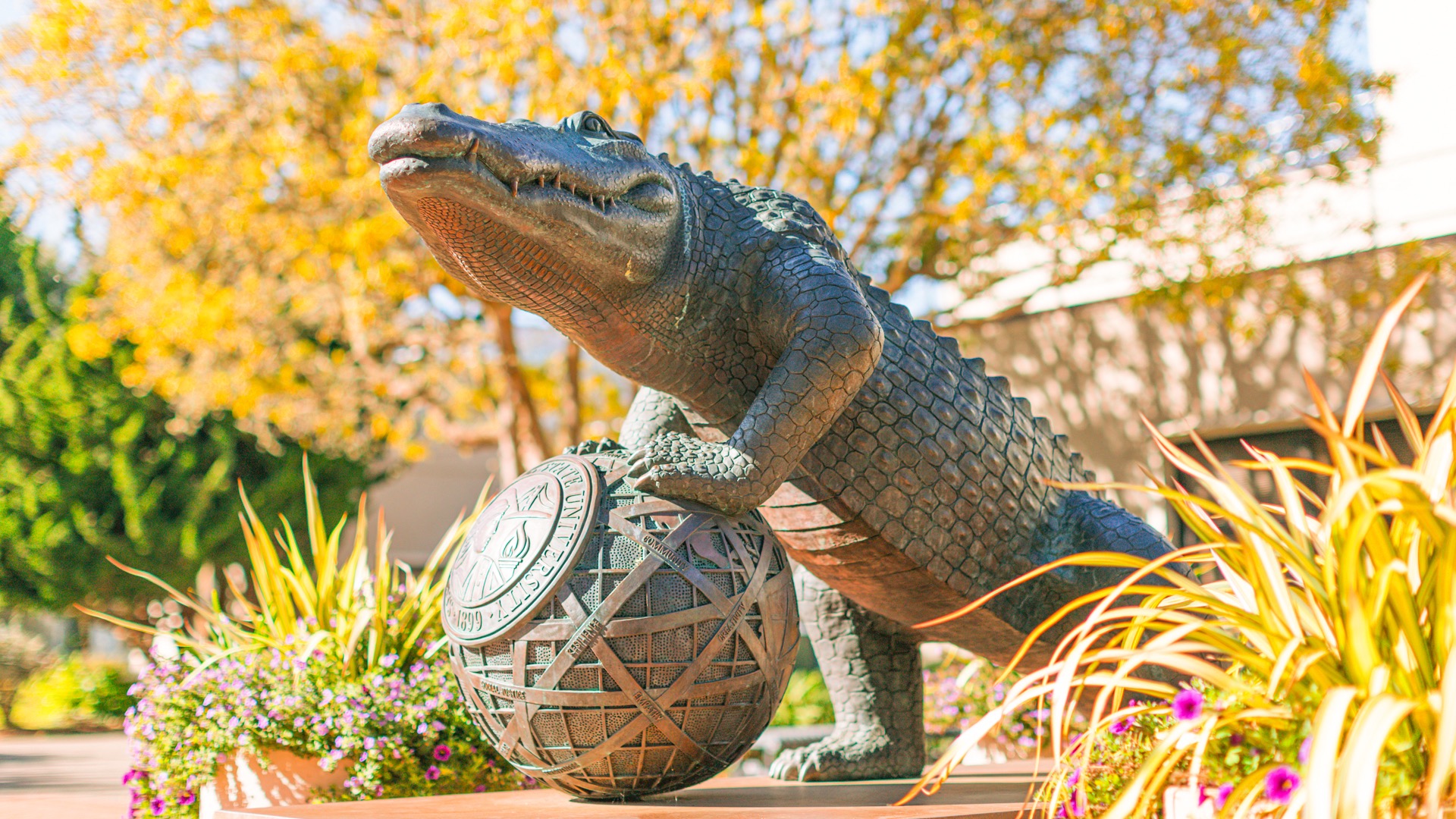 Ologie Campus Photoshoot 2024  |  Day 2  |  Alli-GatorEnvironment  |  Campus  |  Sculpture & Statue & ArtMascot  |  Alli Gator  |  StatuePublic Portal  |  Mascot  |  Statue  |  Alli Gator