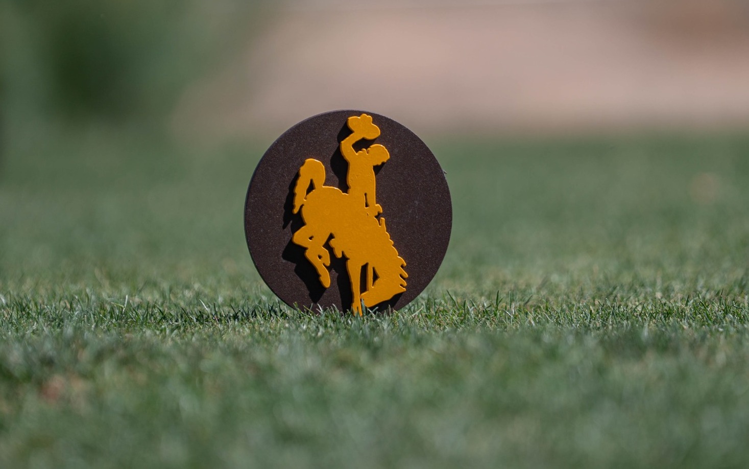 Cowgirl Golf Generic Photo from 2026