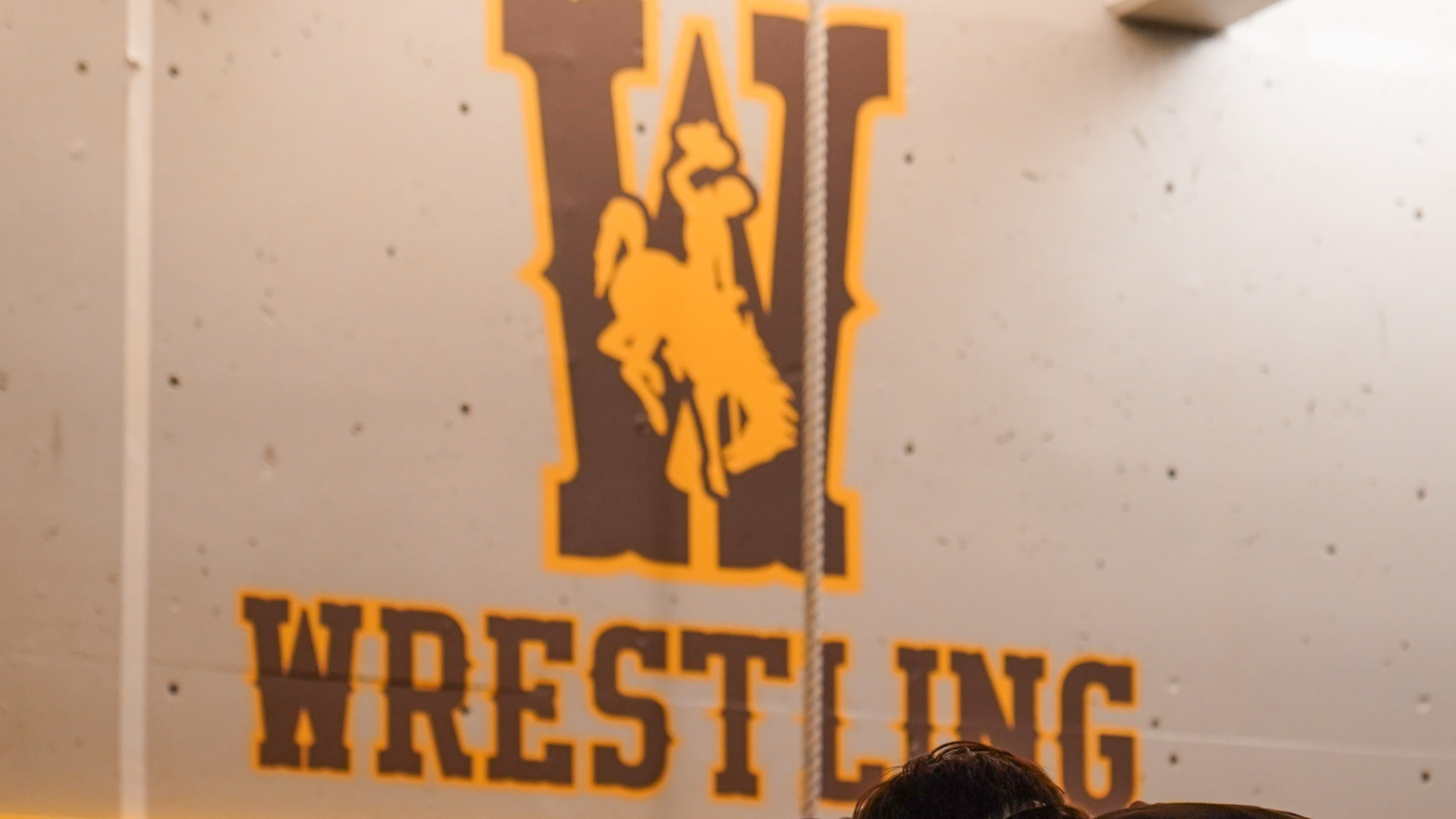 Wrestling