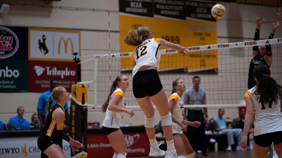 Thorington Attack UCSB