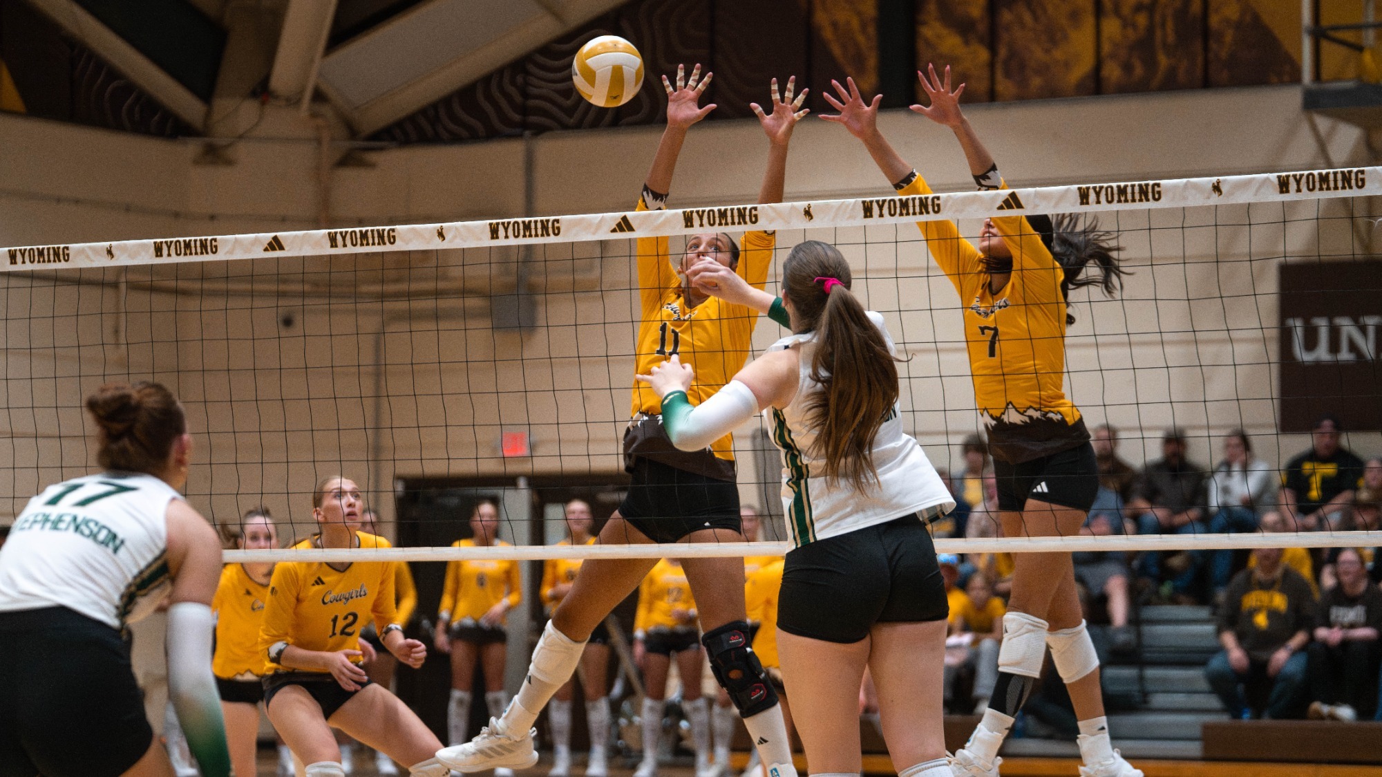WilliamsBlock_CSU