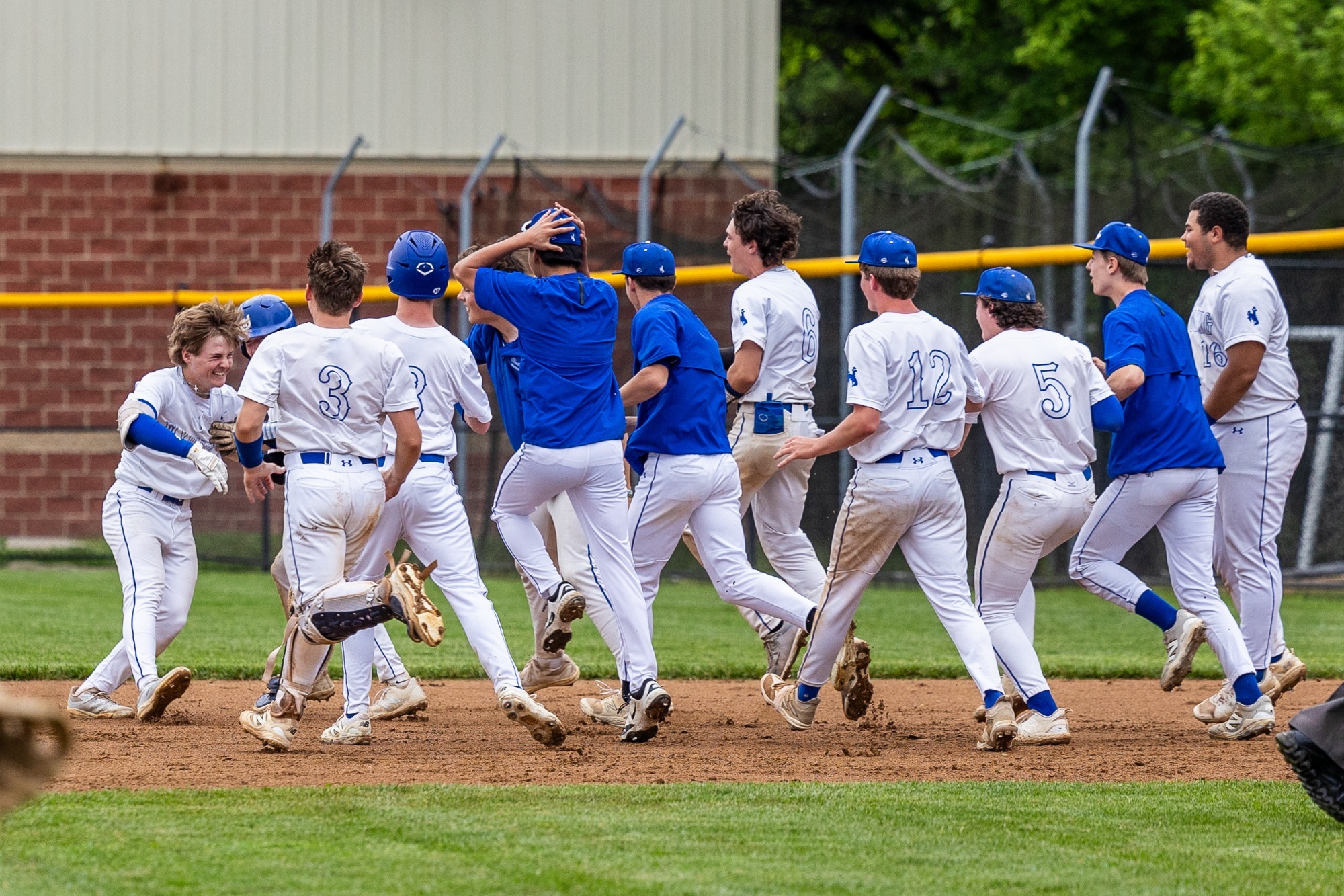 2025 Baseball-Madeira
