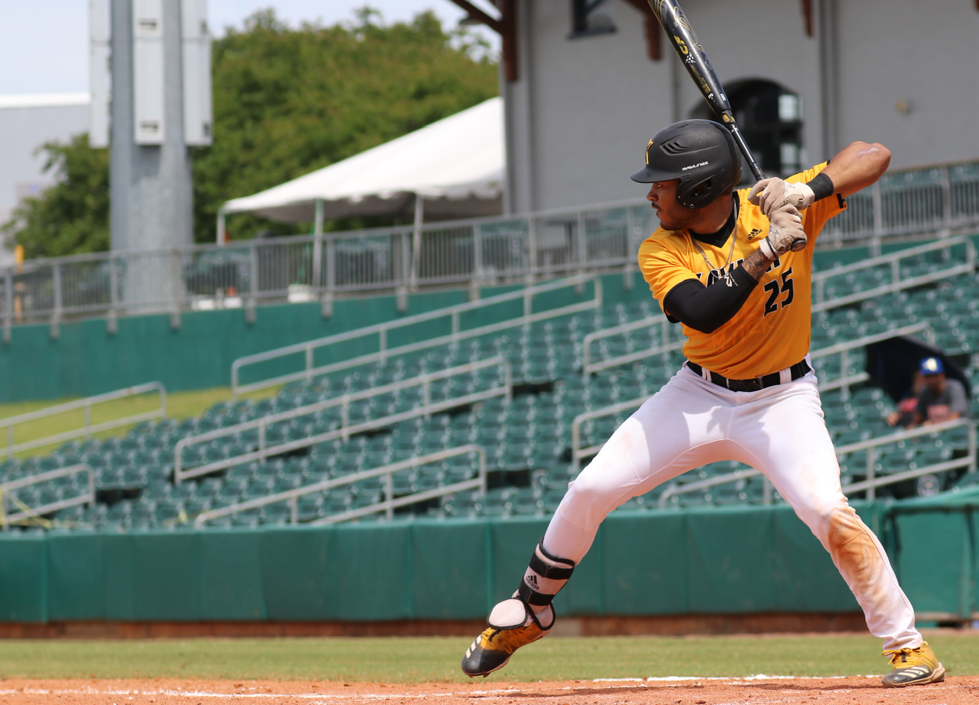 Courtland Posey 2023 Baseball Xavier University of Louisiana