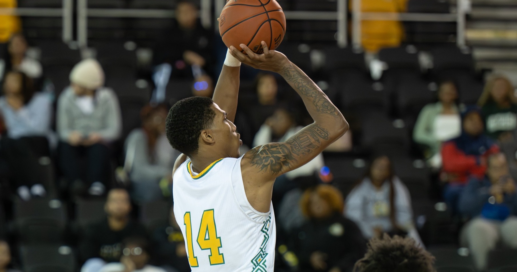 Seviuhn Turner 25-26 vs LSUA