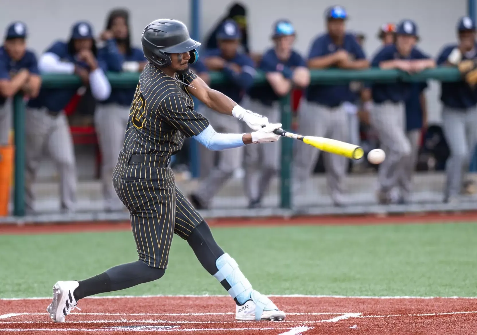 Lawrence Steed batting 2026