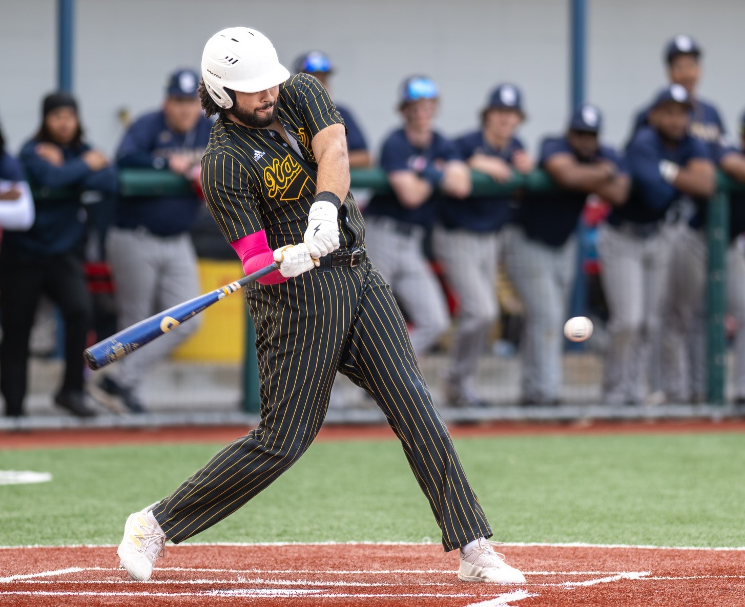 Kai Higginson batting 2026