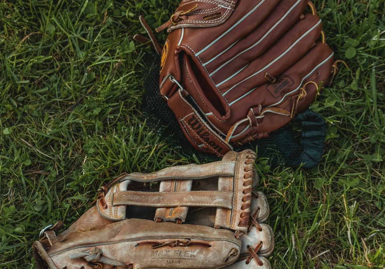Stock softball photo