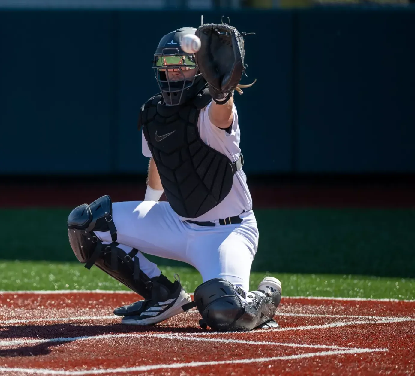 Baseball versus Texas A&M Victoria Spring 2026