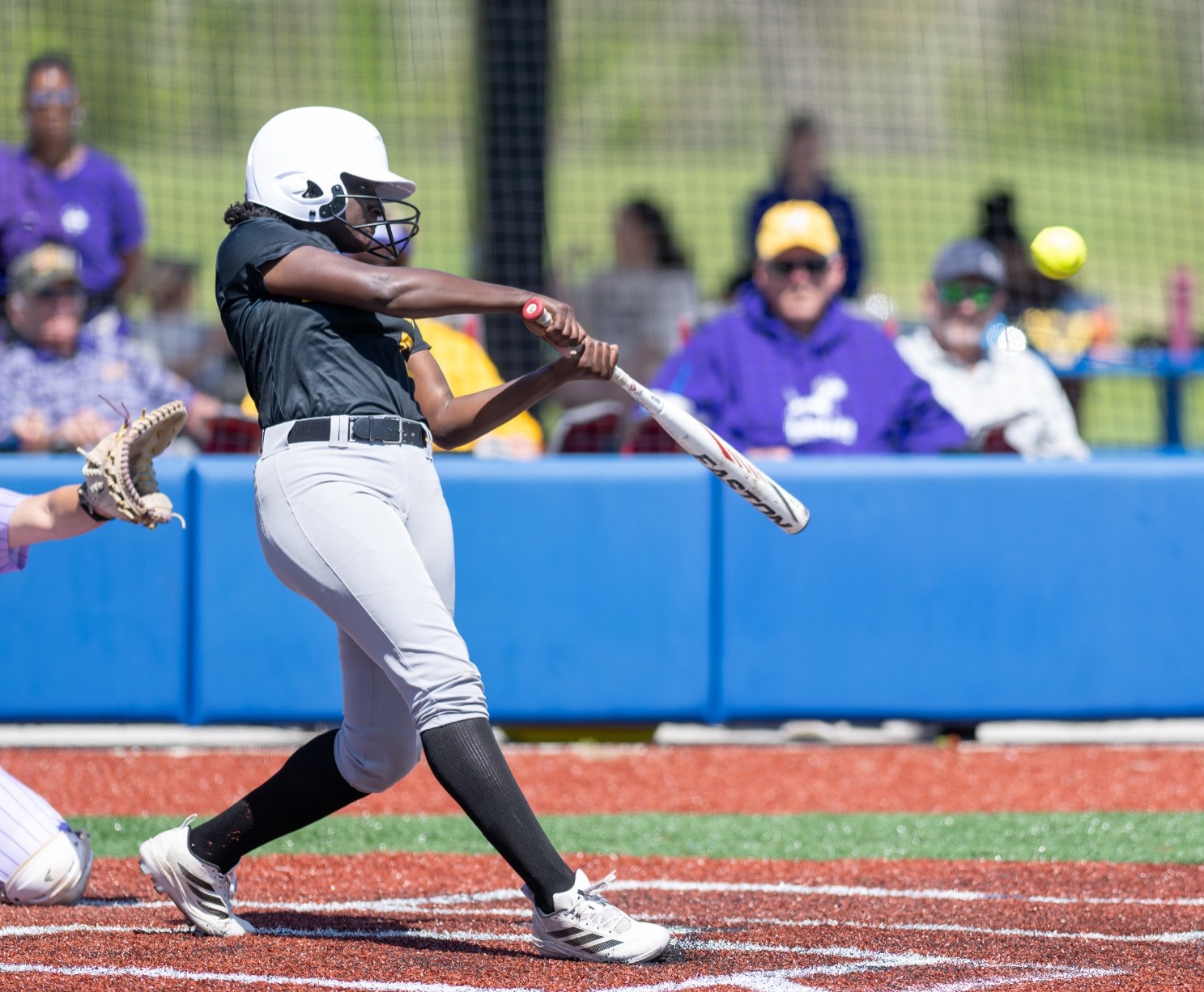 Arin Dale vs LSUA 2026