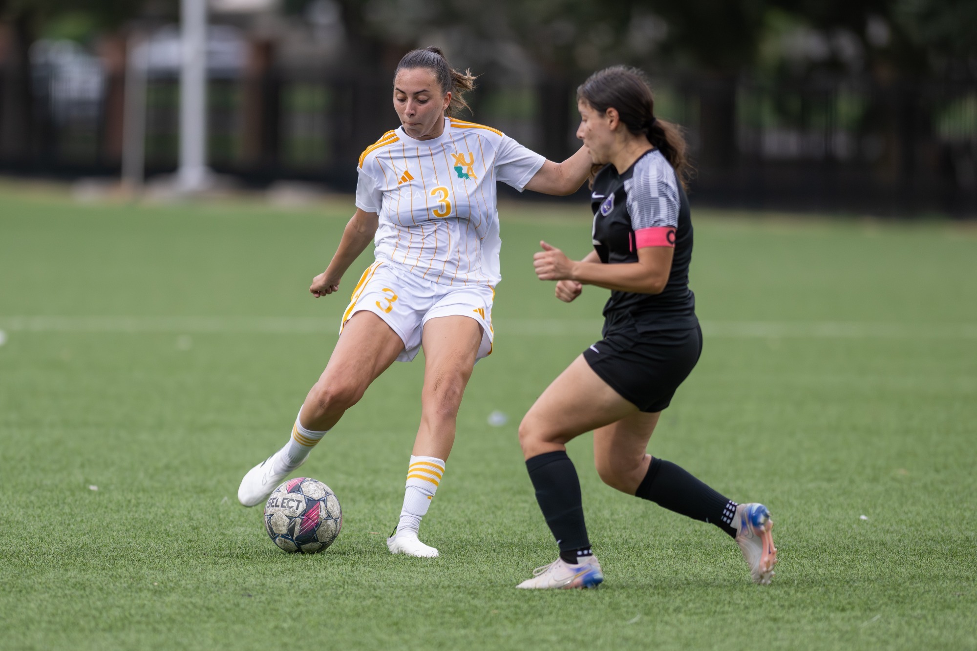 Paula Cortijo versus Wiley 2026