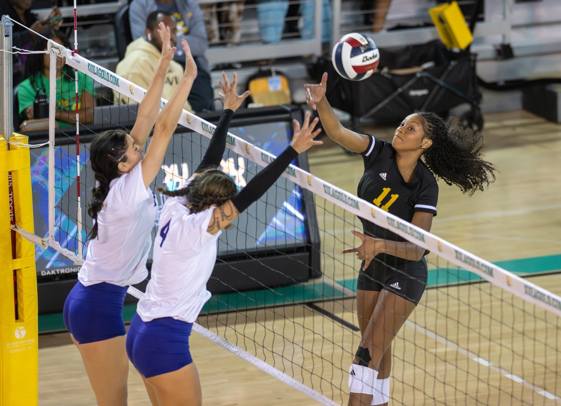 Kennedy Campbell attack versus LSUS