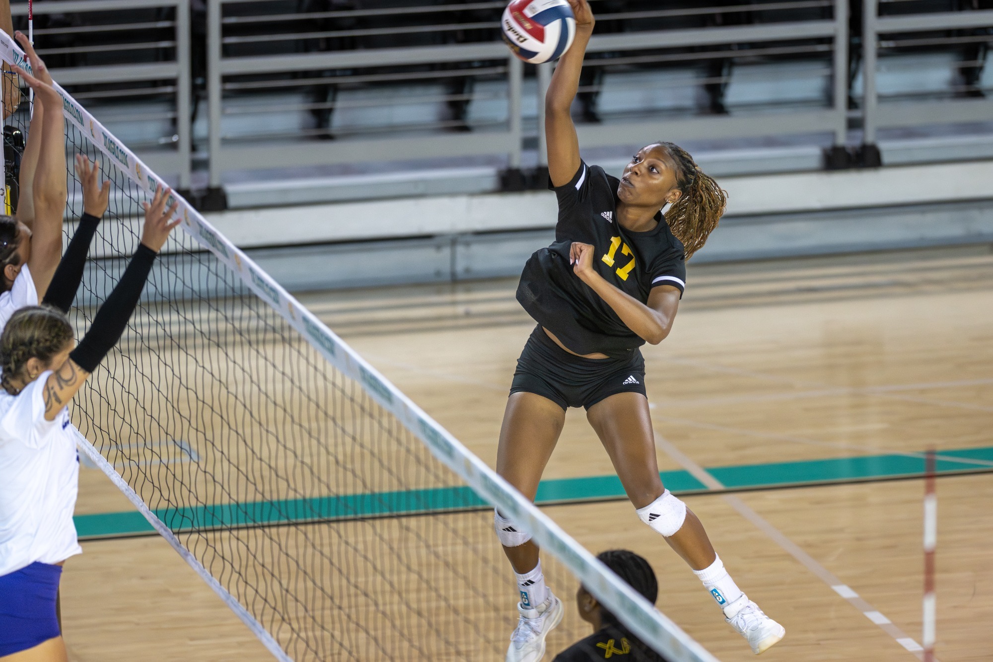 Laila Person attack versus LSUS 