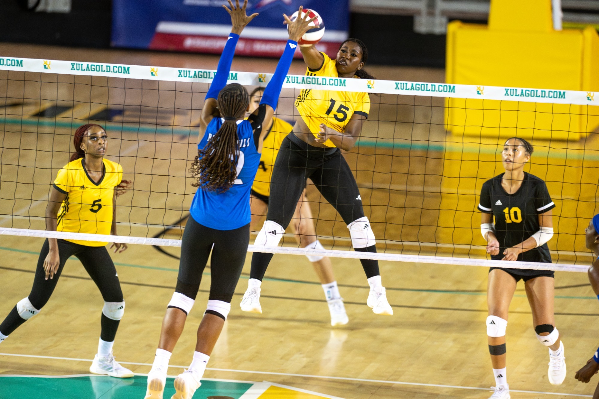 Zoie Mayberry spike versus Dillard