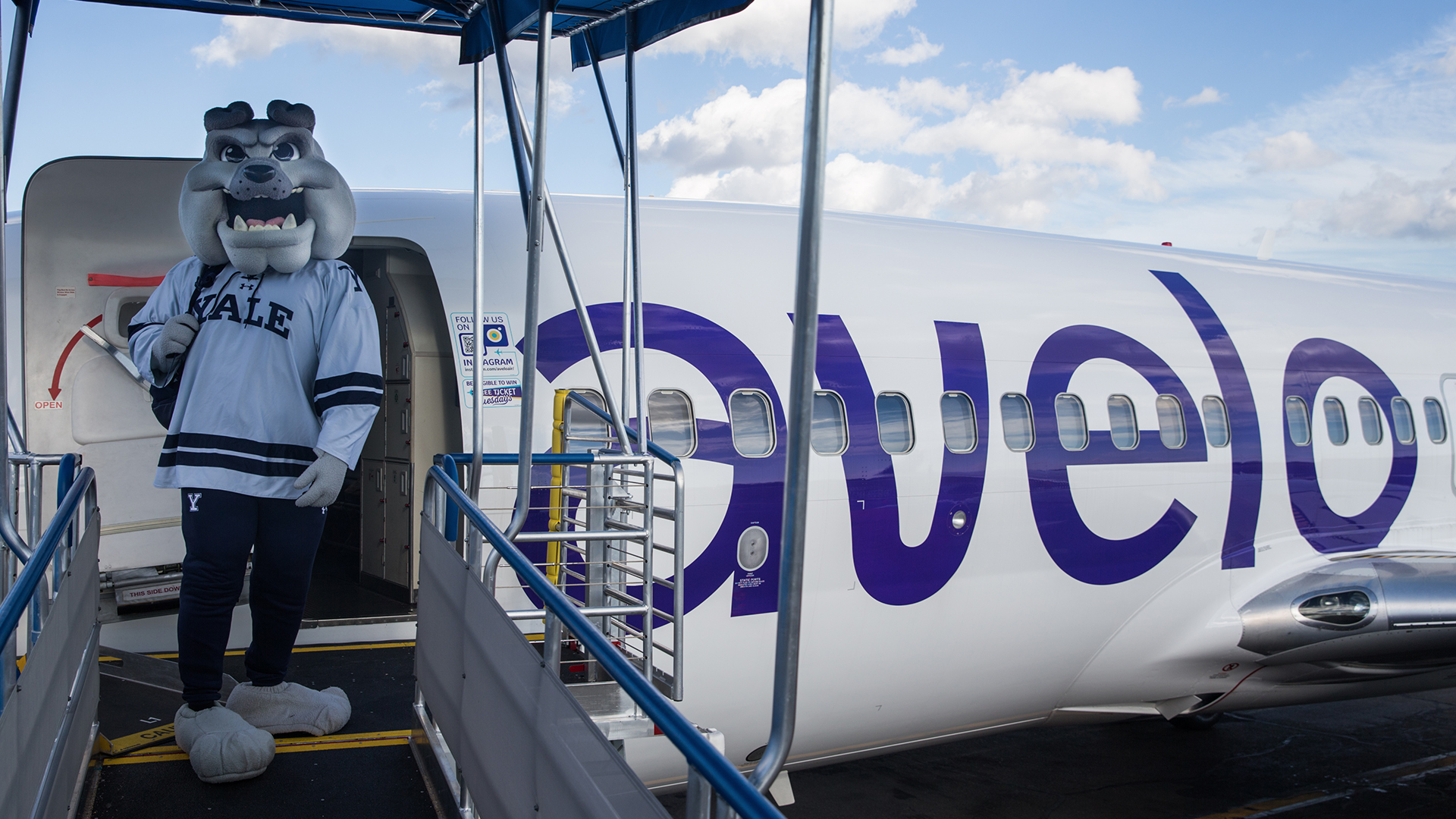 Boola boards an Avelo plane 