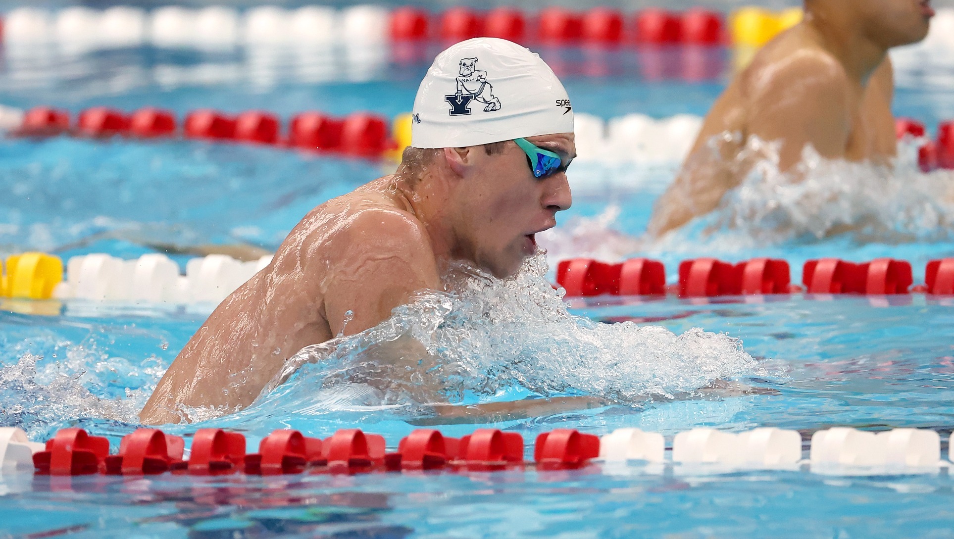 Men's Swimming & Diving