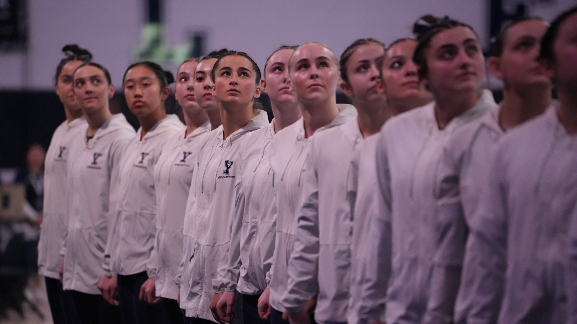 Gymnastics - Scholar Athlete
