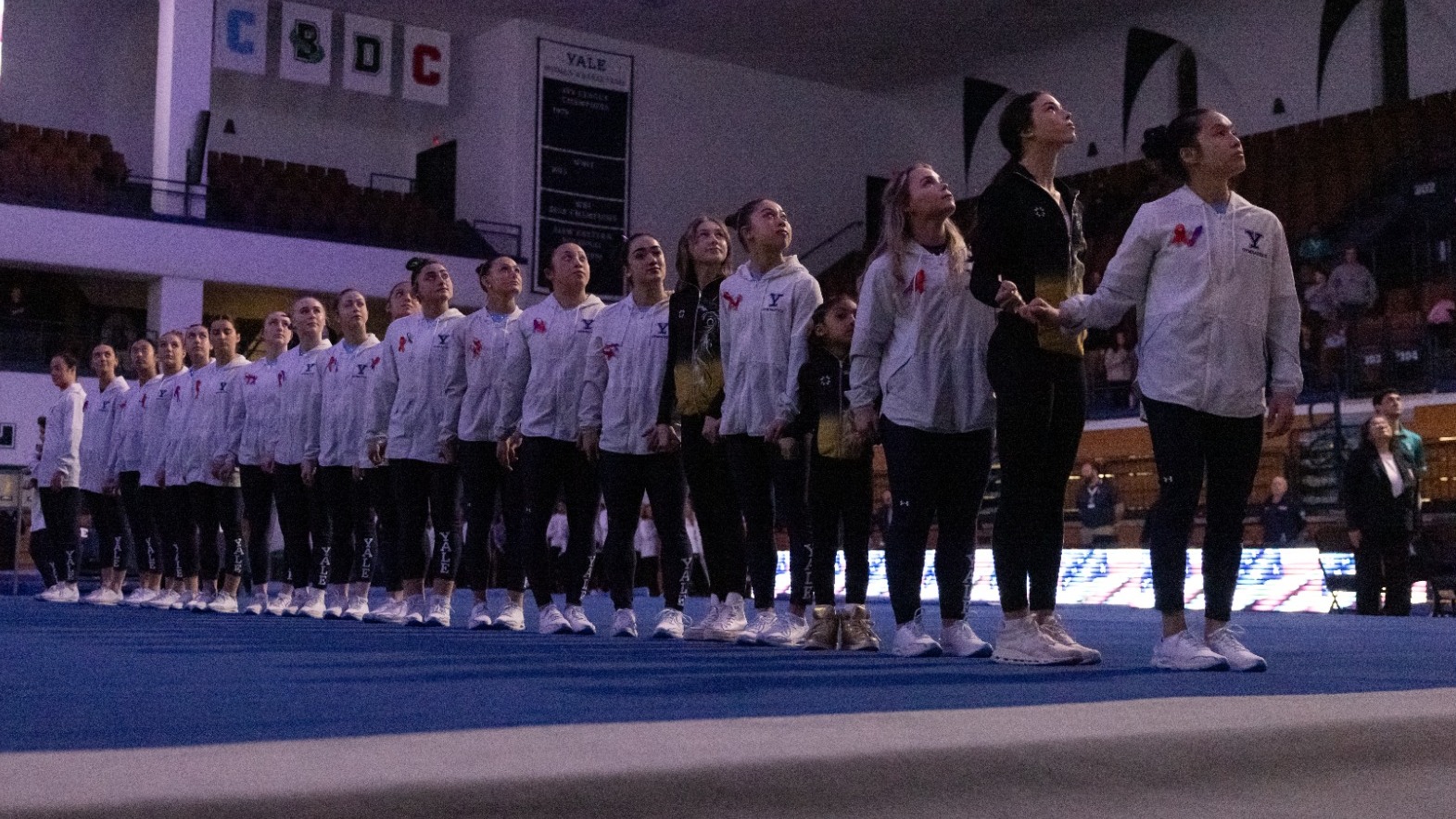 Gymnastics team shot 